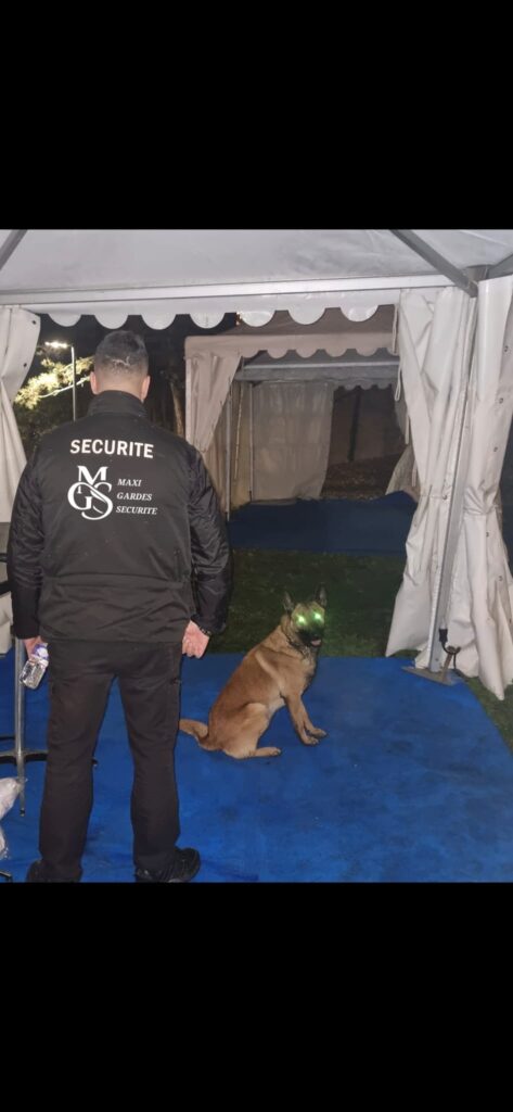 WhatsApp Image 2025-09-12 at 13.13.37